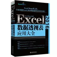 音像Excel2016数据透视表应用大全Excel Home