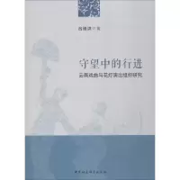 音像守望中的行进 云南戏曲与花灯演出组织研究吕维洪