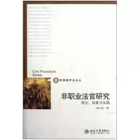 音像非职业法官研究(理念制度与实践)/民事程序丛彭小龙