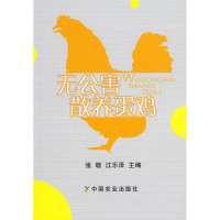 音像无公害散养蛋鸡张敬 等