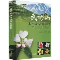 音像武功山木本及草甸植物编者:王伯民//潜伟平|责编:李敏