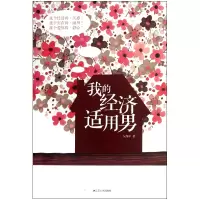 音像我的经济适用男人海中