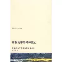 音像断裂地带的精神流亡(路遥的文学实践及其文化意义)石天强