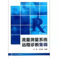 音像流量测量系统远程诊断集锦纪纲//纪波峰