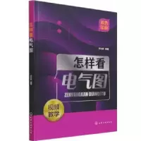 音像怎样看电气图(双色印刷)乔长君