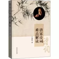 音像唐宋诗词难点解读王俊鸣
