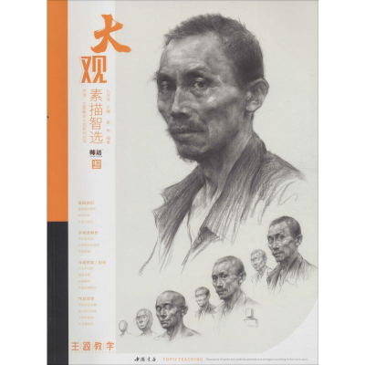 音像大观素描智选袁亮
