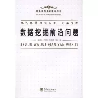 音像现代统计研究丛著:数据挖掘前沿问题贺铿 主编