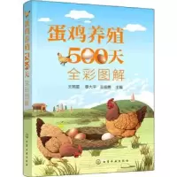音像蛋鸡养殖500天全彩图解文明星,季大平,王绍勇