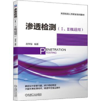 音像渗透检测(Ⅰ、Ⅱ级适用)胡学知