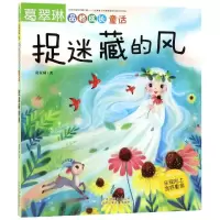 音像捉迷藏的风/葛翠琳品格成长童话葛翠琳
