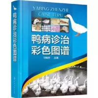 音像鸭病诊治彩色图谱刁有祥