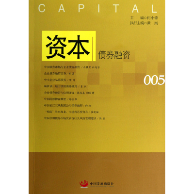 音像资本(债券融资)何小锋