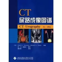 音像CT尿路成像图谱袁飞