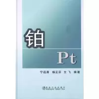 音像铂 Pt\宁远涛宁远涛,杨正芬,文飞??编著
