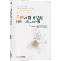 音像单图及群图挖掘 原理、算法与应用