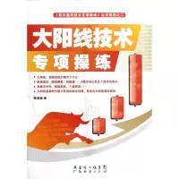 音像大阳线技术专项操练/赢利技术专项操练丛书系列陈铭逊