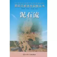 音像泥石流侯世科主编