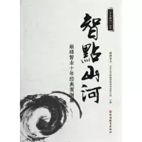 音像智点山河(智业十年经典案例集)/书香丛书主编:刘锋