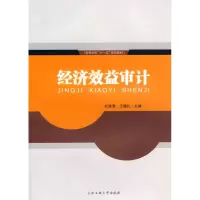 音像经济效益审计杜建菊 王德礼