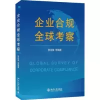 音像企业合规全球考察张远煌等编著