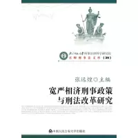 音像宽严相济刑事政策与刑法改革研究/京师刑事法文库39张远煌