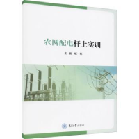 音像农网配电杆上实训编者:杨尧|责编:姜凤