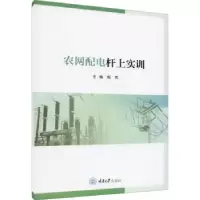 音像农网配电杆上实训编者:杨尧|责编:姜凤