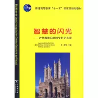 音像智慧的闪光——近代德国与欧洲文化史选读(德)Schmitz