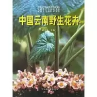 音像中国云南野生花卉武全安