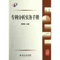 音像专利分析实务手册杨铁军