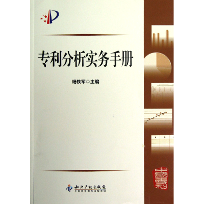 音像专利分析实务手册杨铁军