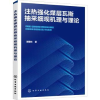 音像注热强化煤层瓦斯抽采细观机理与理论谢建林