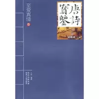 音像唐诗宝鉴—至爱真情王颖