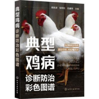 音像典型鸡病诊断防治彩色图谱郎跃深,倪印红,石建存