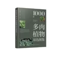音像1000种多肉植物原色图鉴王意成,王翔