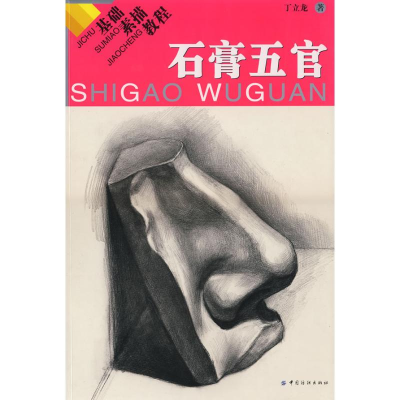 音像基础素描教程:石膏五官丁立龙