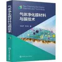 音像气体净化膜材料与膜技术(精)仲兆祥,邢卫红