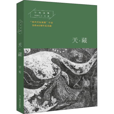 音像天·藏 创作40周年纪念版宁肯