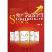 音像盘口技术实训(职业操盘基础培训核心教程)陈金壮
