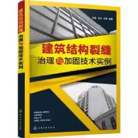 音像建筑结构裂缝治理与加固技术实例孙勇,王志,王晖