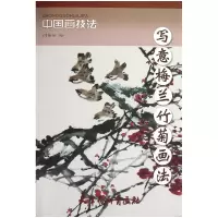 音像写意梅兰竹菊画法/中国画技法绘画:闫国星