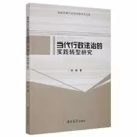 音像当代行政法治的实践转型研究杨峰著