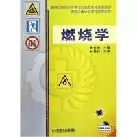 音像燃烧学(高等教育安全科学与工程类系列规划教材)陈长坤