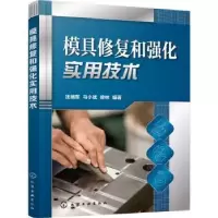 音像模具修复和强化实用技术汪瑞军,马小斌,徐林