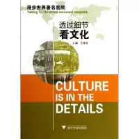 音像透过细节看文化/漫步世界著名医院王建安