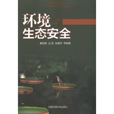 音像环境与生态安全董险峰 丛丽 张嘉伟 等