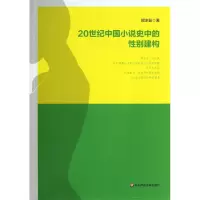音像20世纪中国小说史中的建构郭冰茹
