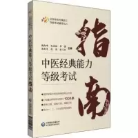 音像中医经典能力等级指南魏凯峰[等]主编