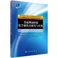 音像普通稠油降黏化学驱技术研究与应用曹绪龙[等]编著